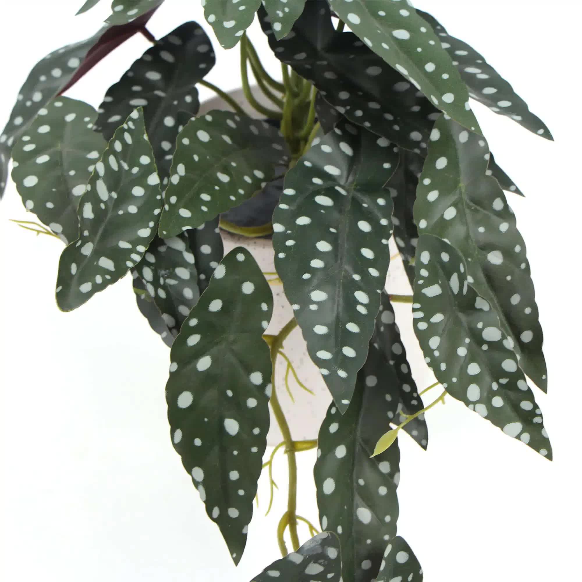 Artificial Begonia Maculata Plant in Decorative Bowl 30cm - Green