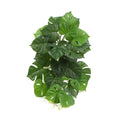 Artificial Monstera Adansonii Plant 50cm - Green