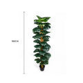 Artificial Monstera Adansonii Money Plant 180cm with Decorative Pot - Green