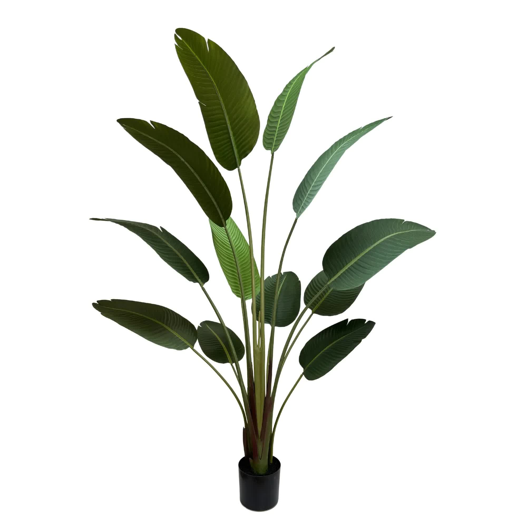 Grand Artificial Potted Travellers Palm Tree 180cm - Green