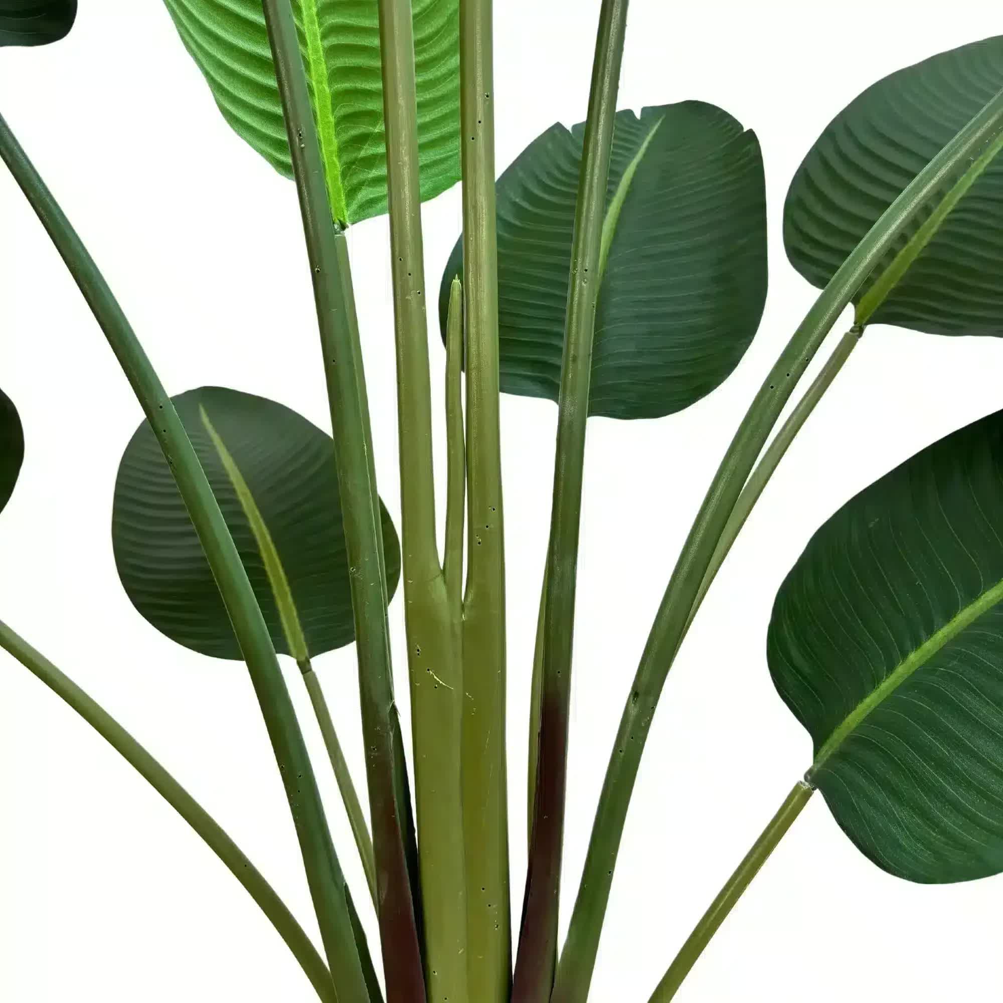 Grand Artificial Potted Travellers Palm Tree 180cm - Green