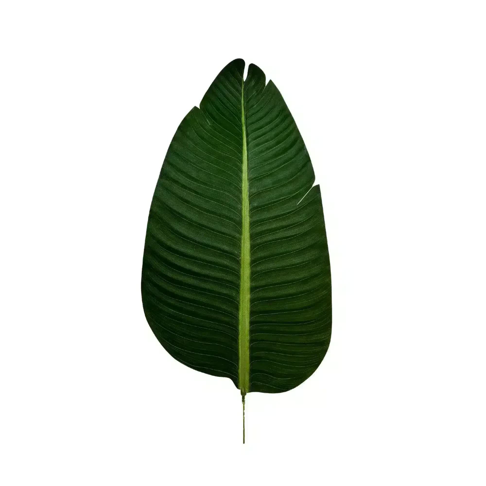 Grand Artificial Potted Travellers Palm Tree 180cm - Green