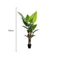 Artificial Taro Elephant Ear Palm 170cm - Vibrant Green