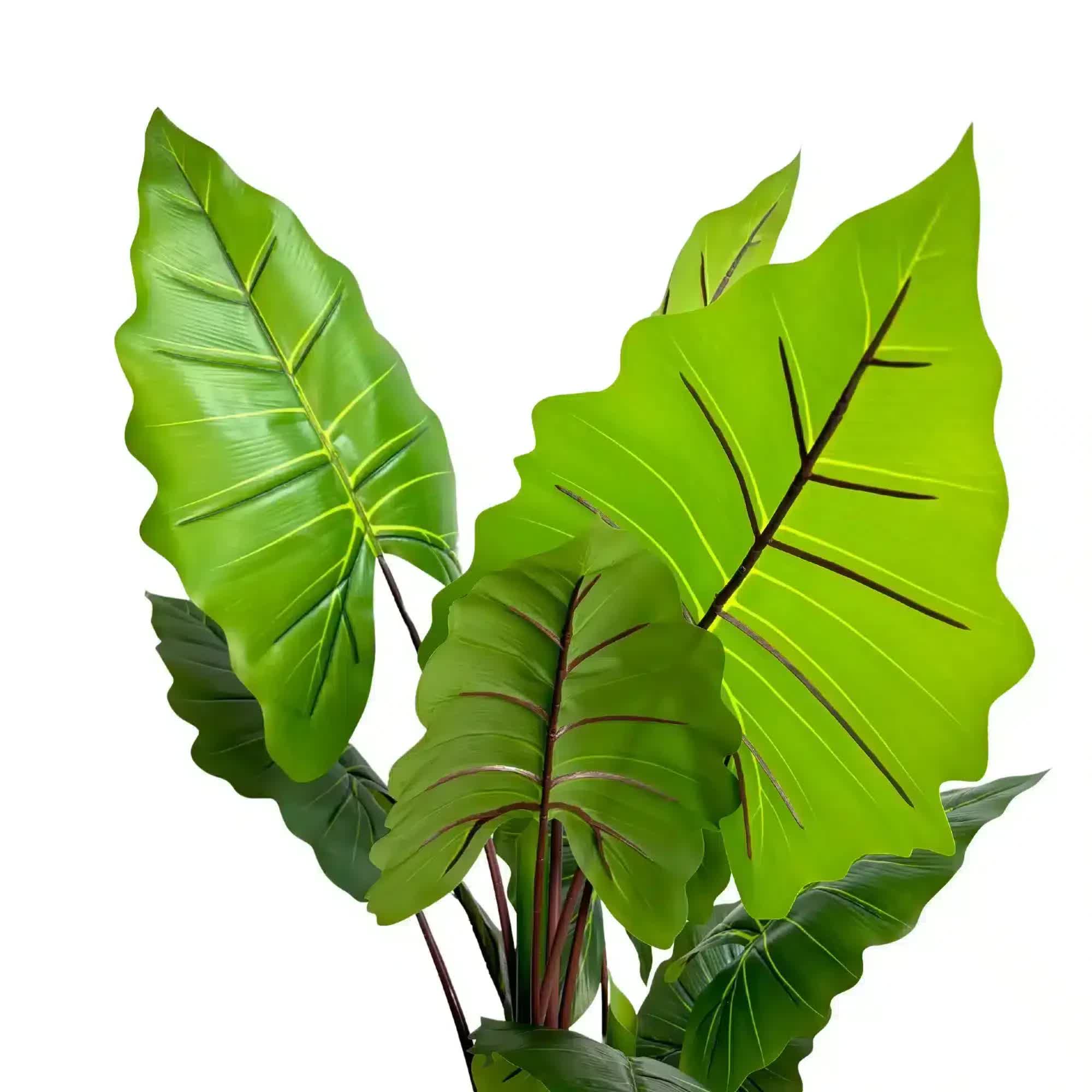 Artificial Taro Elephant Ear Palm 170cm - Vibrant Green
