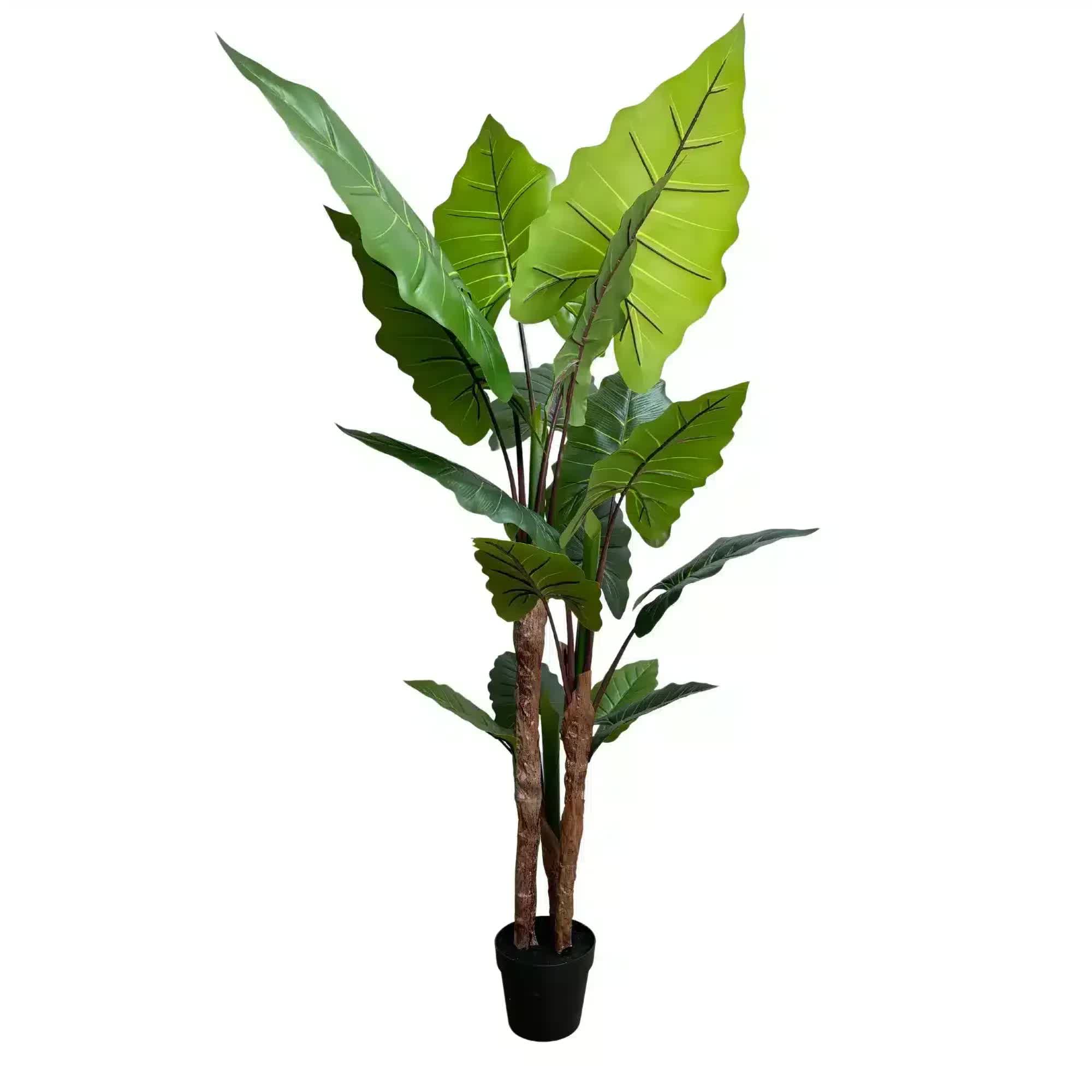 Artificial Taro Elephant Ear Palm 170cm - Vibrant Green