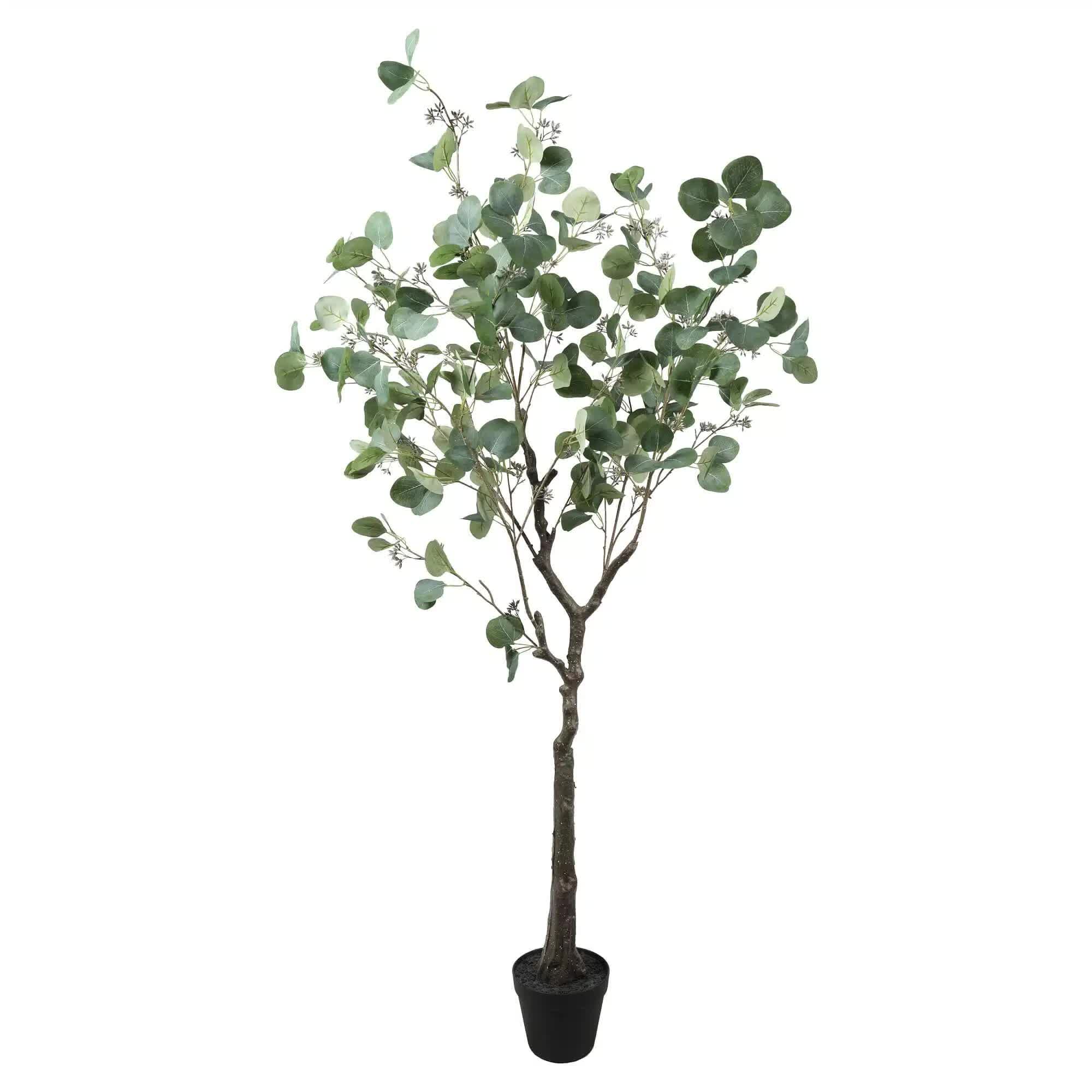 Artificial Eucalyptus Tree 150cm Red Box Polyanthemos - Grey Green
