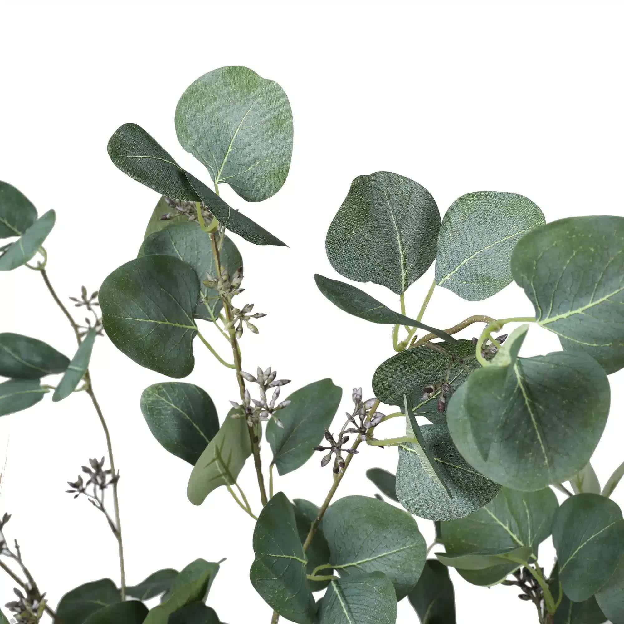Artificial Eucalyptus Tree 150cm Red Box Polyanthemos - Grey Green
