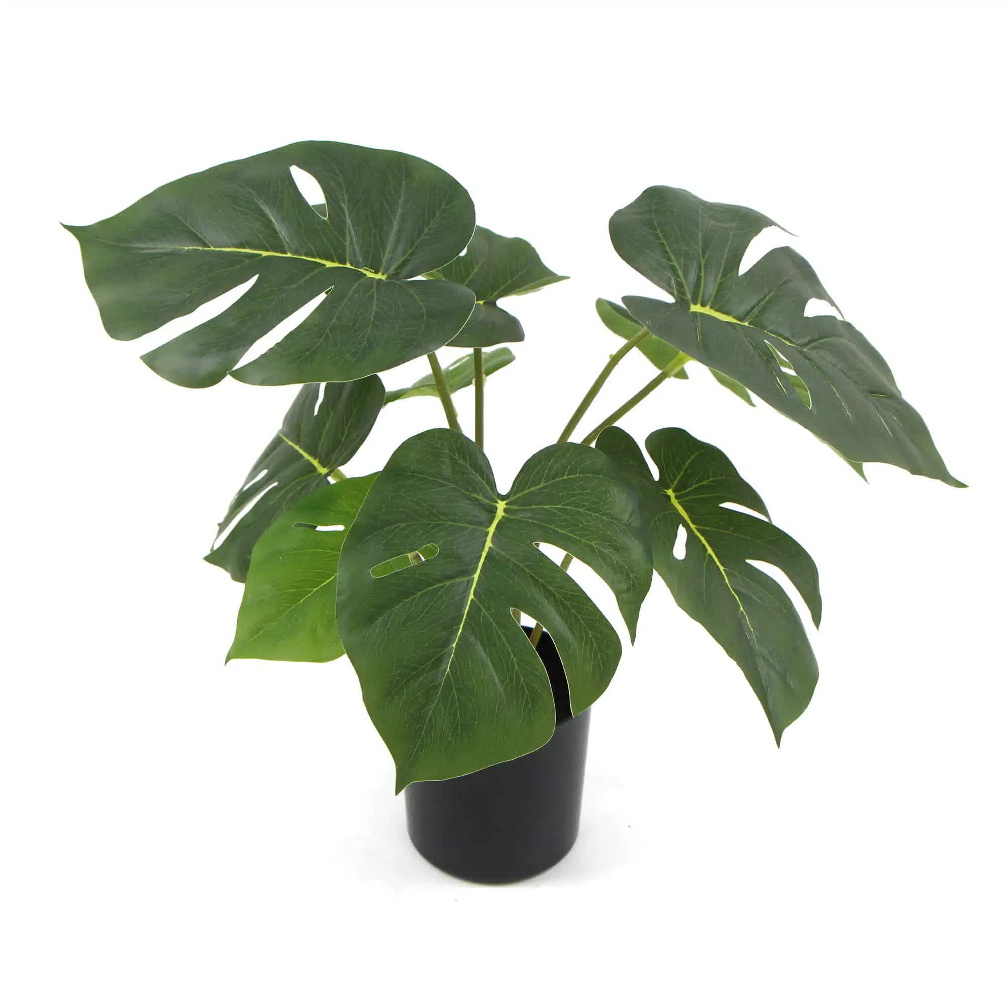 Artificial Monstera Split Philodendron Plant 35cm with Real Touch Leaves - Green & White Pot