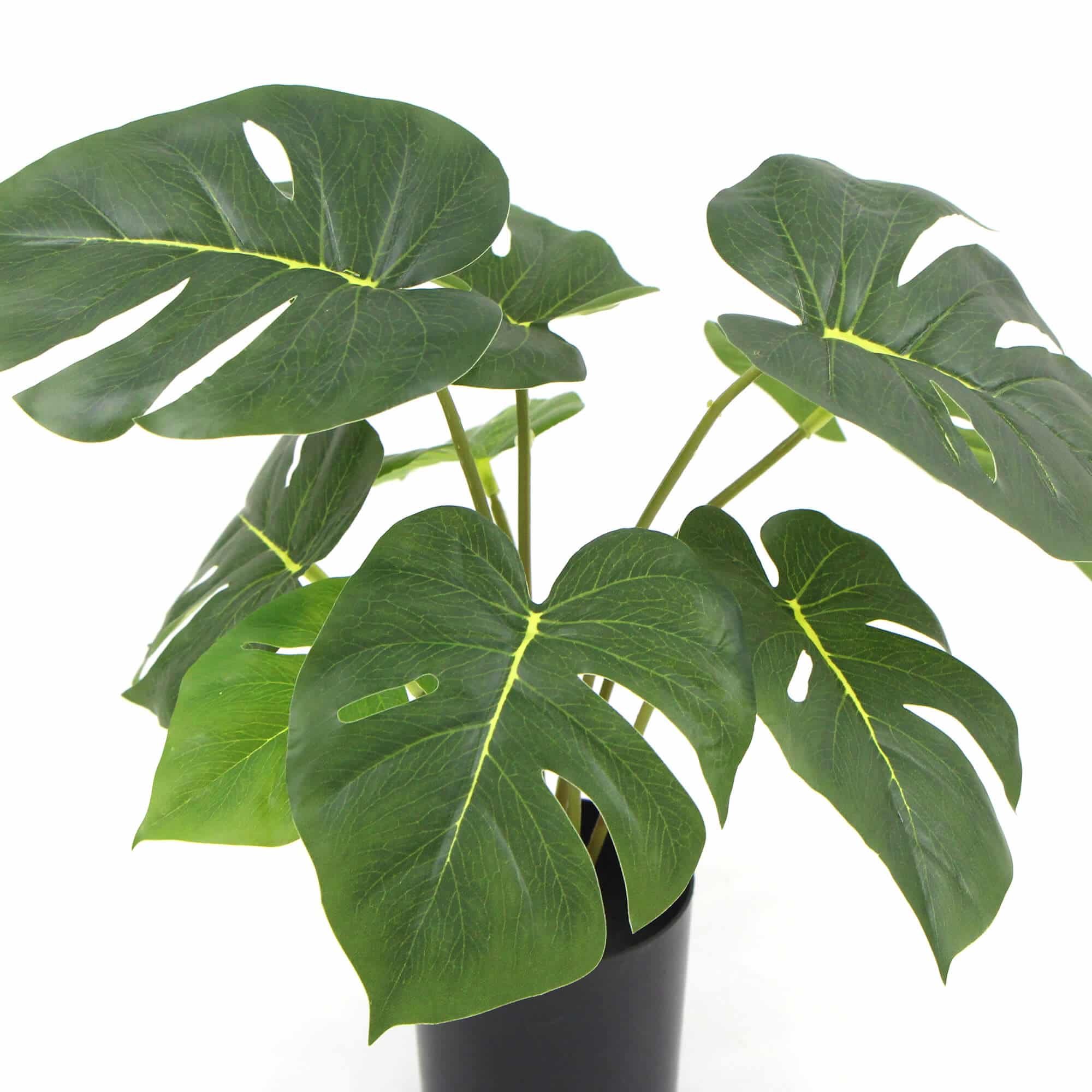 Artificial Monstera Split Philodendron Plant 35cm with Real Touch Leaves - Green & White Pot