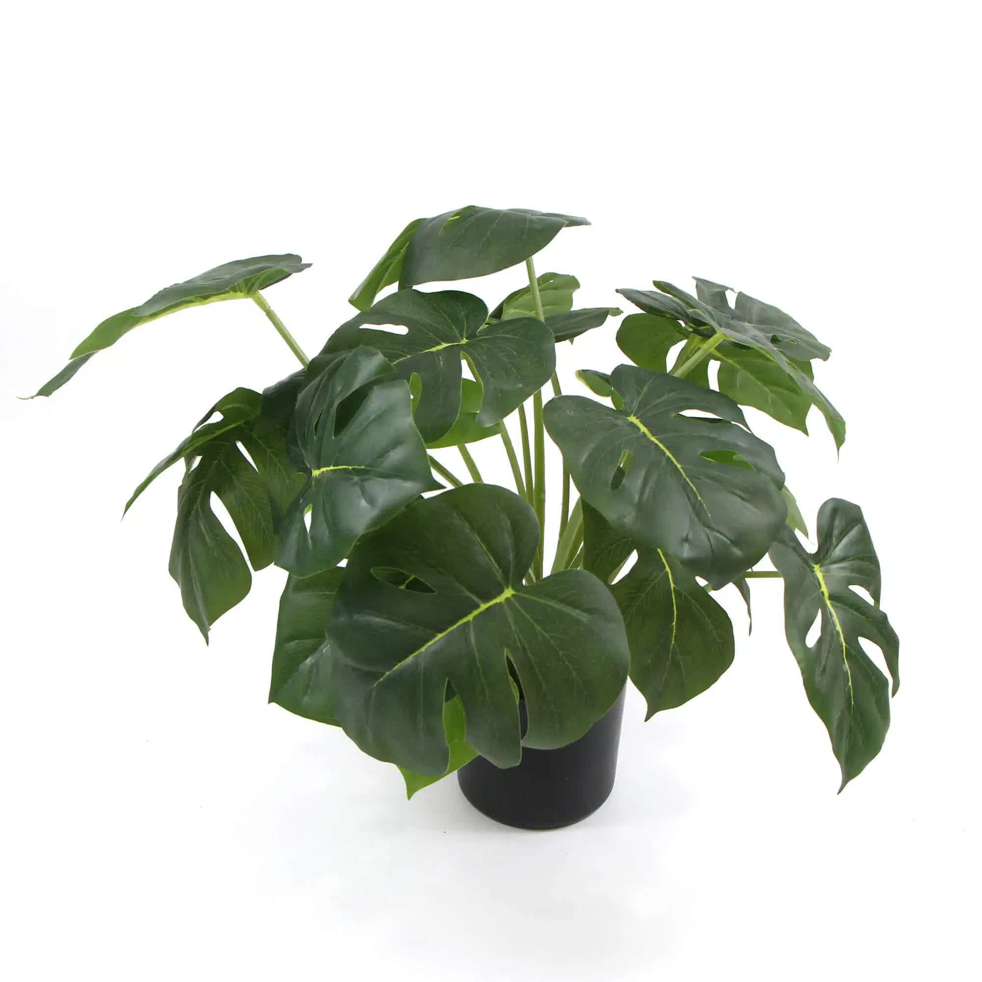 Dense Potted Artificial Monstera Deliciosa Plant 50cm with Real Touch Leaves - Green