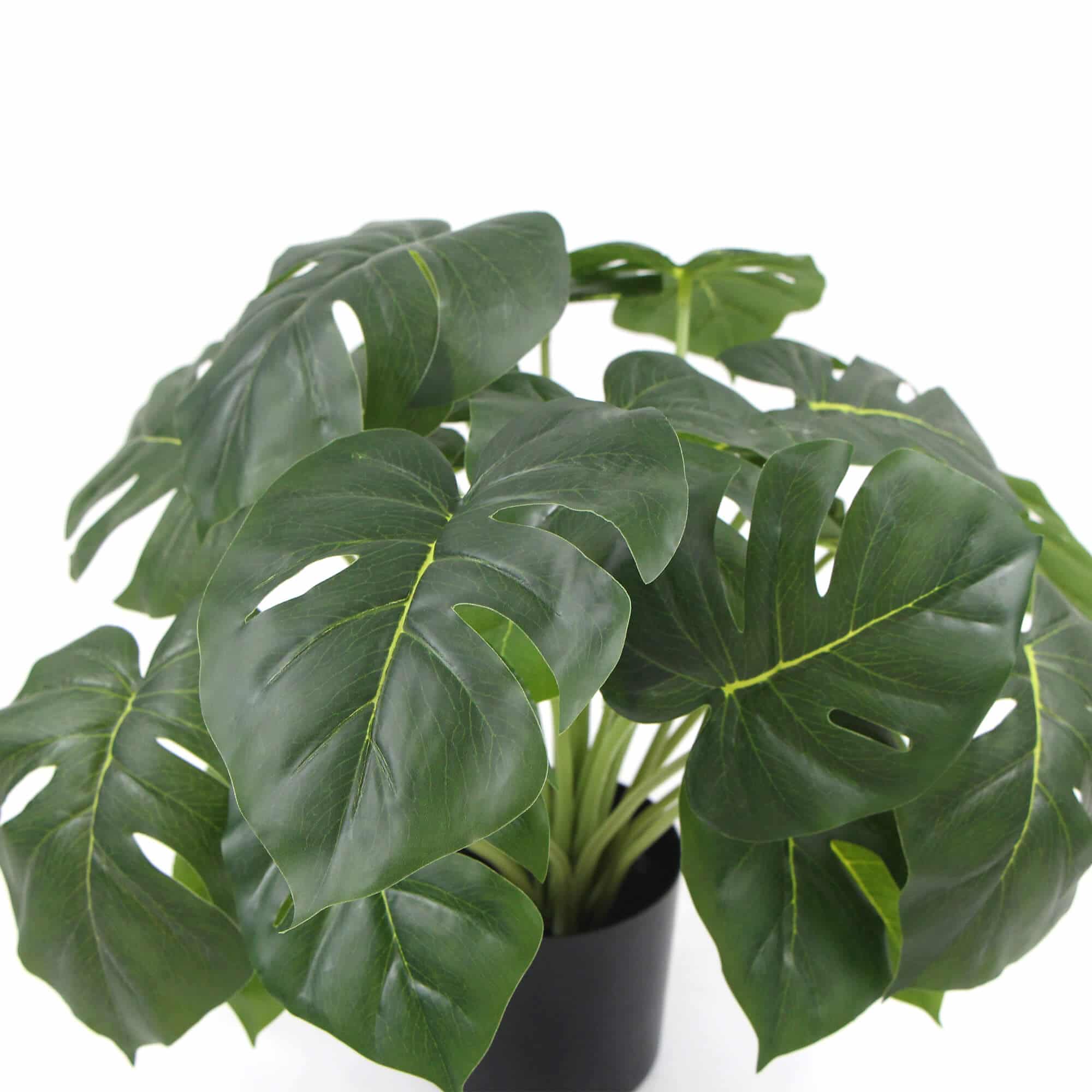 Dense Potted Artificial Monstera Deliciosa Plant 50cm with Real Touch Leaves - Green