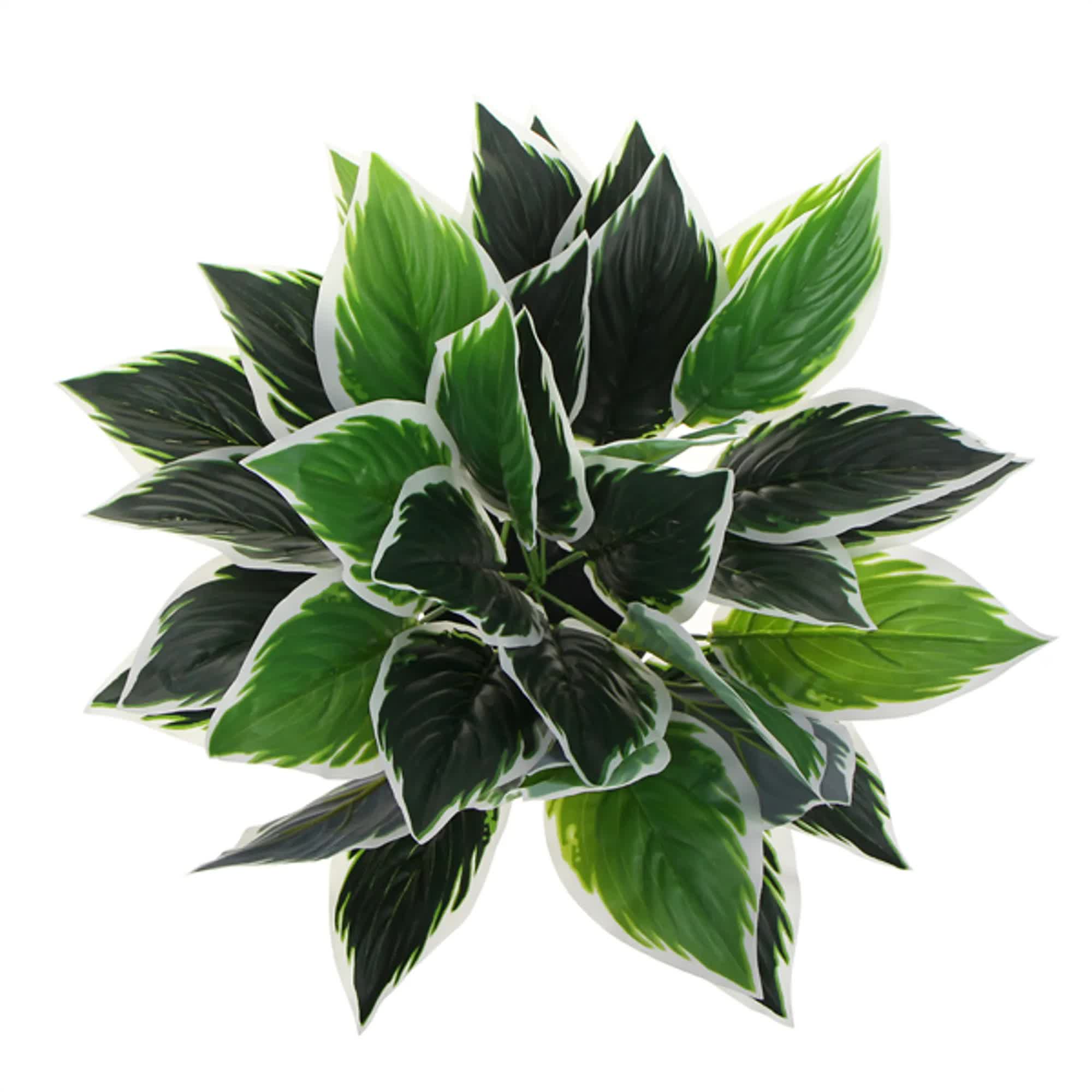 Dense Potted Artificial Calathea Plant 35cm - Green and White