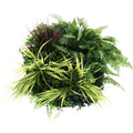 Slimline 50cm Artificial Green Wall Disc Art with White Frame - White