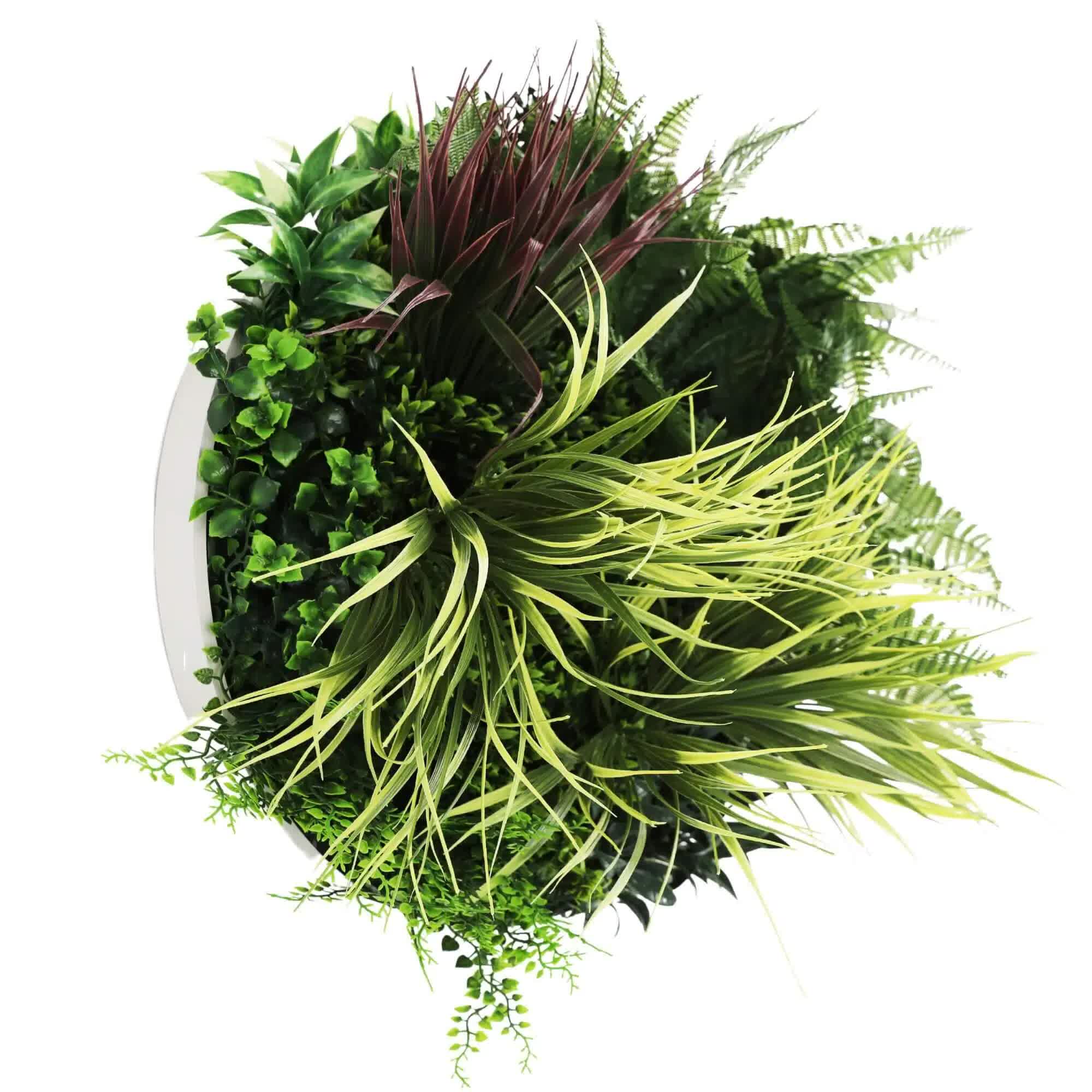 Slimline 50cm Artificial Green Wall Disc Art with White Frame - White