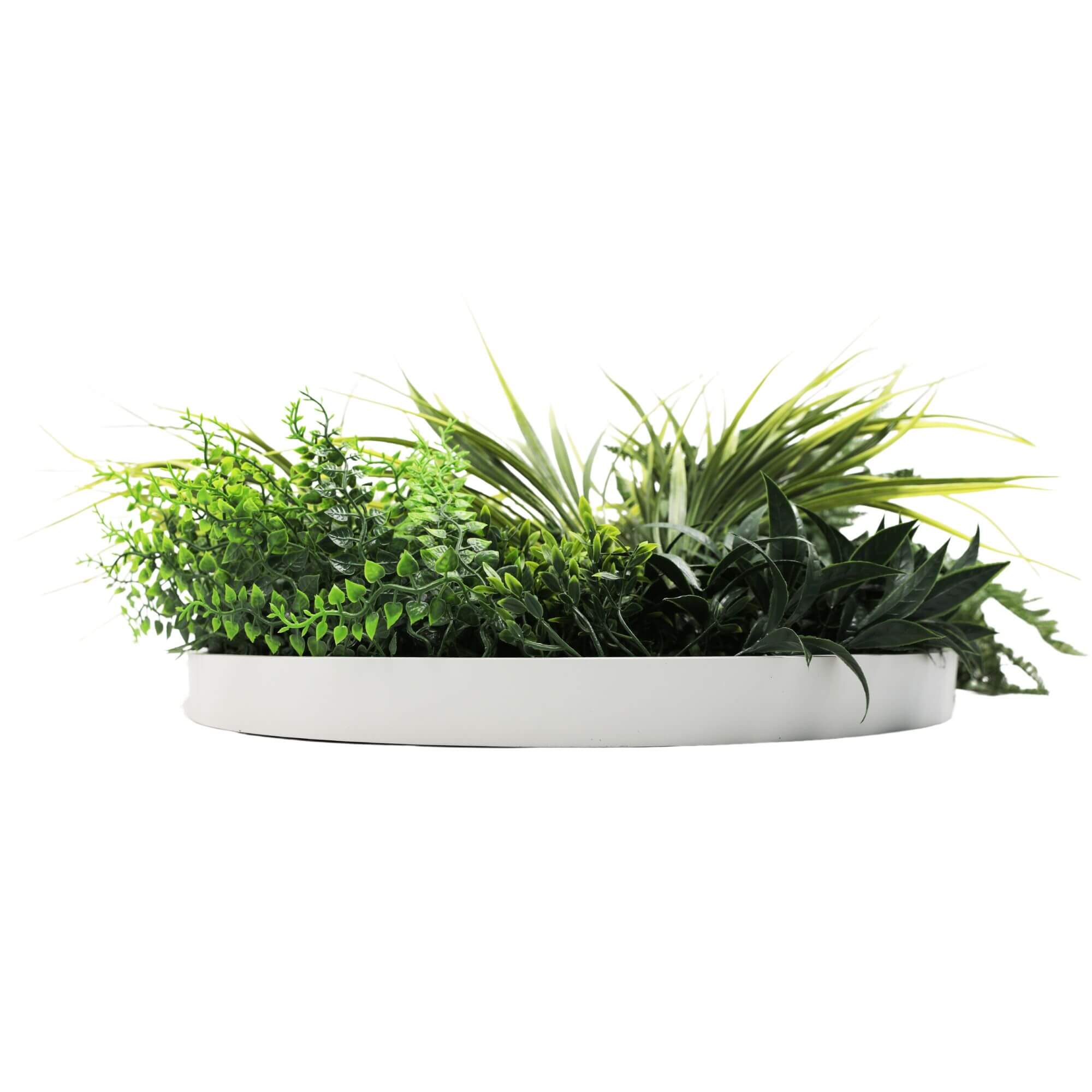 Slimline 50cm Artificial Green Wall Disc Art with White Frame - White