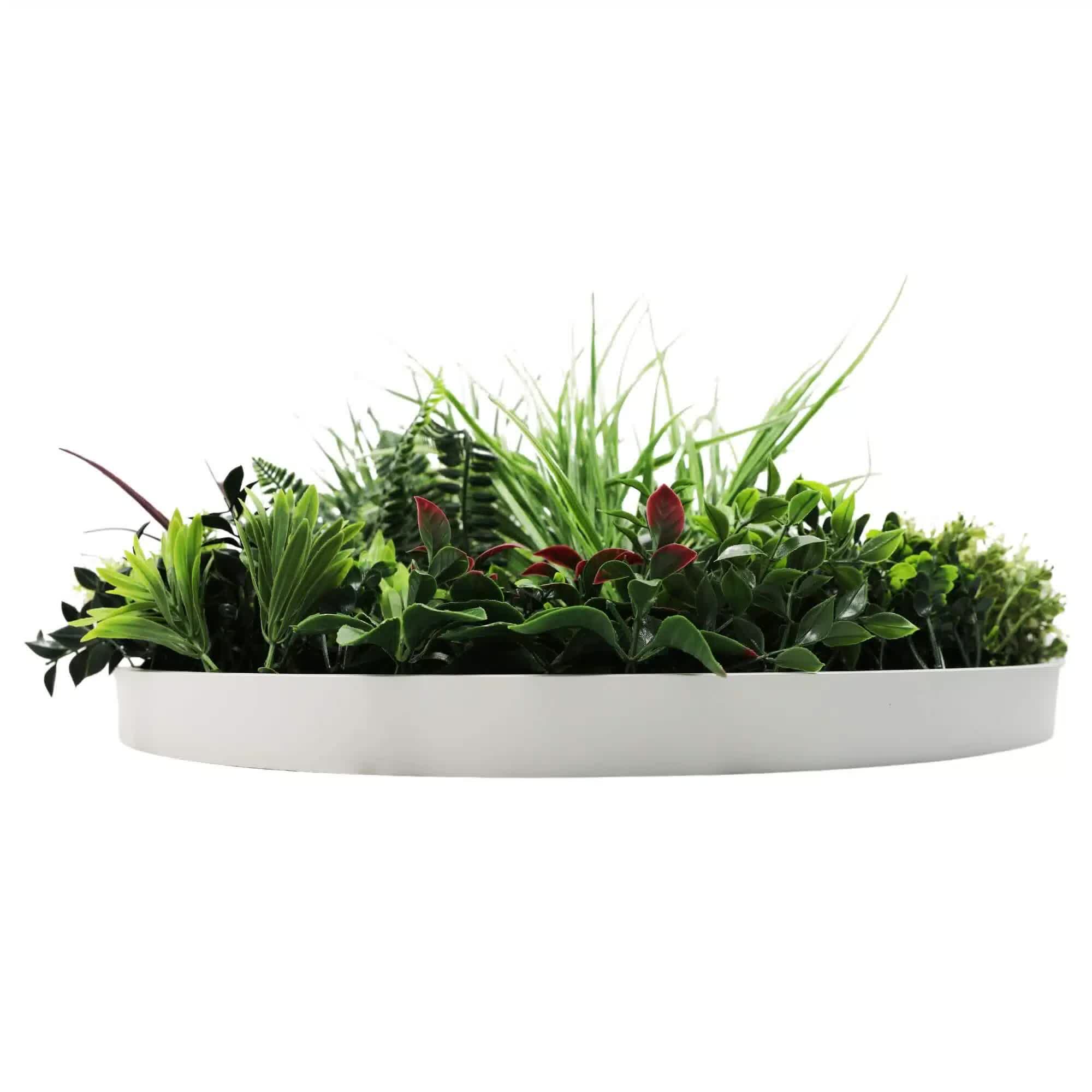 Slimline Artificial Green Wall Disc Art 60cm UV Resistant - White