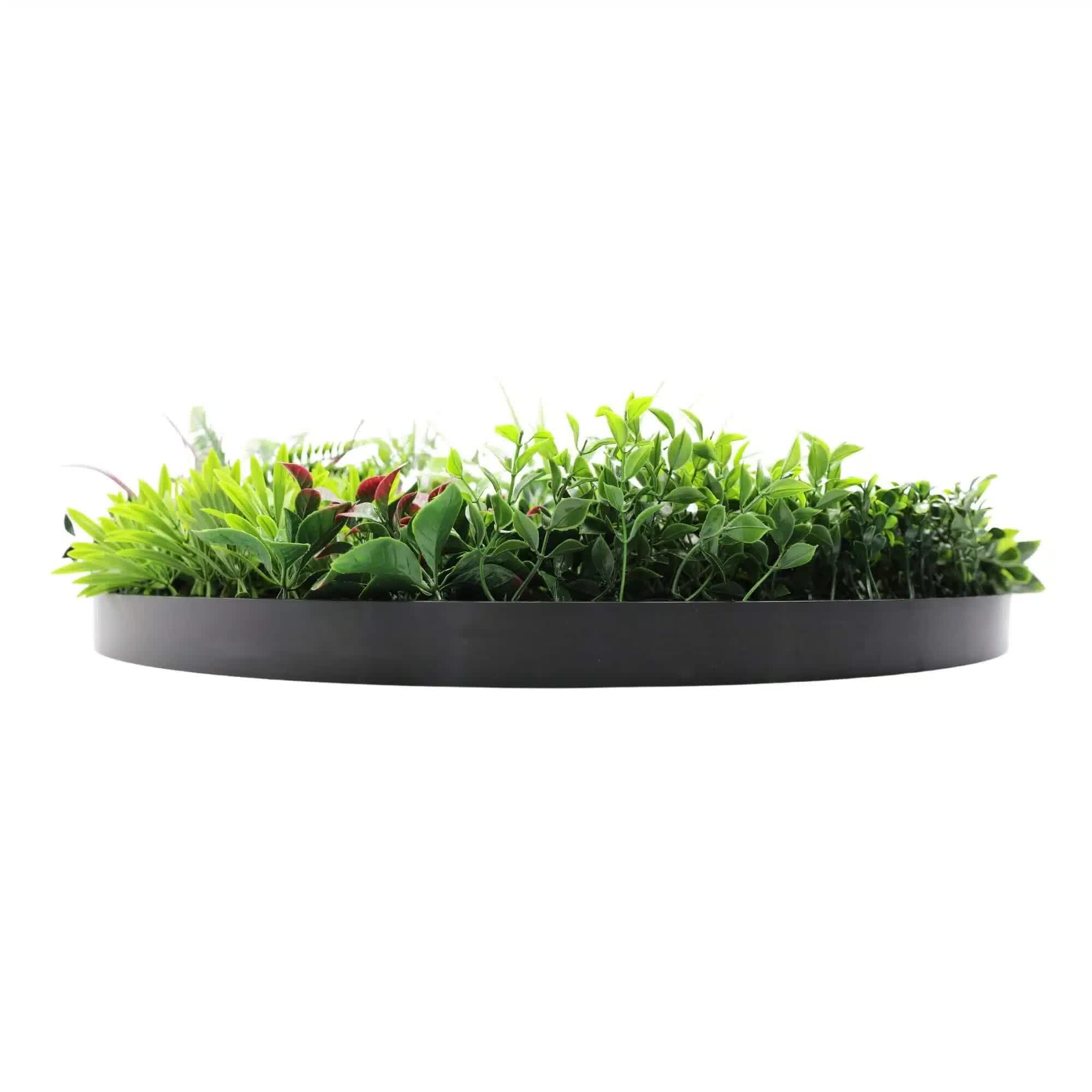 Slimline 80cm Artificial Green Wall Disc Art UV Resistant - Black