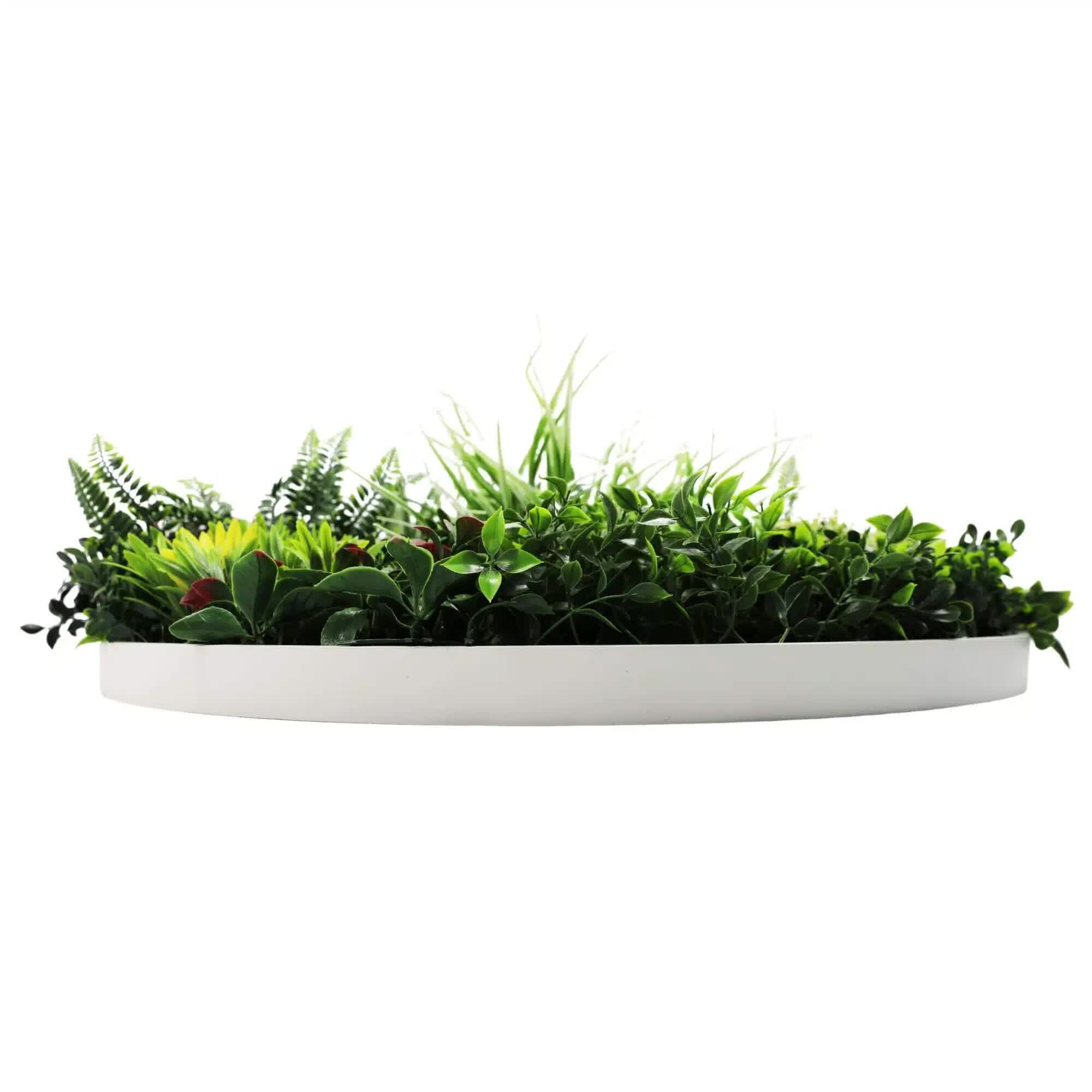 Slimline 80cm Artificial Green Wall Disc UV Resistant - White