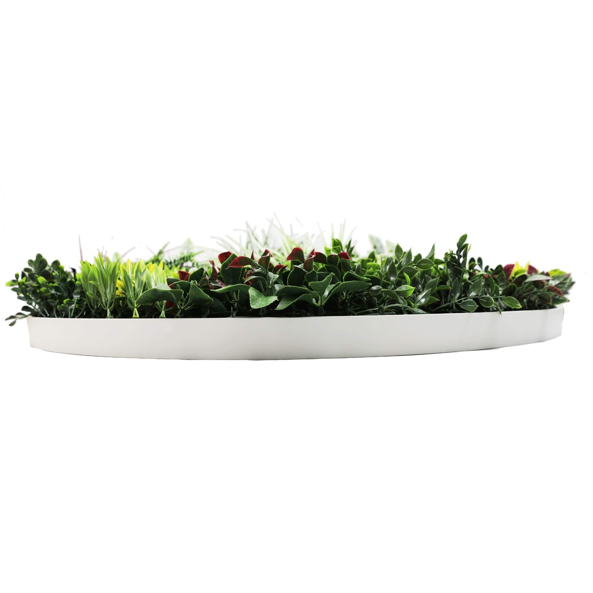 Slimline 100cm Artificial Green Wall Disc Art UV Resistant - White