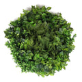 Slimline 80cm Artificial Green Wall Disc with Mixed Fern & Ivy - Black