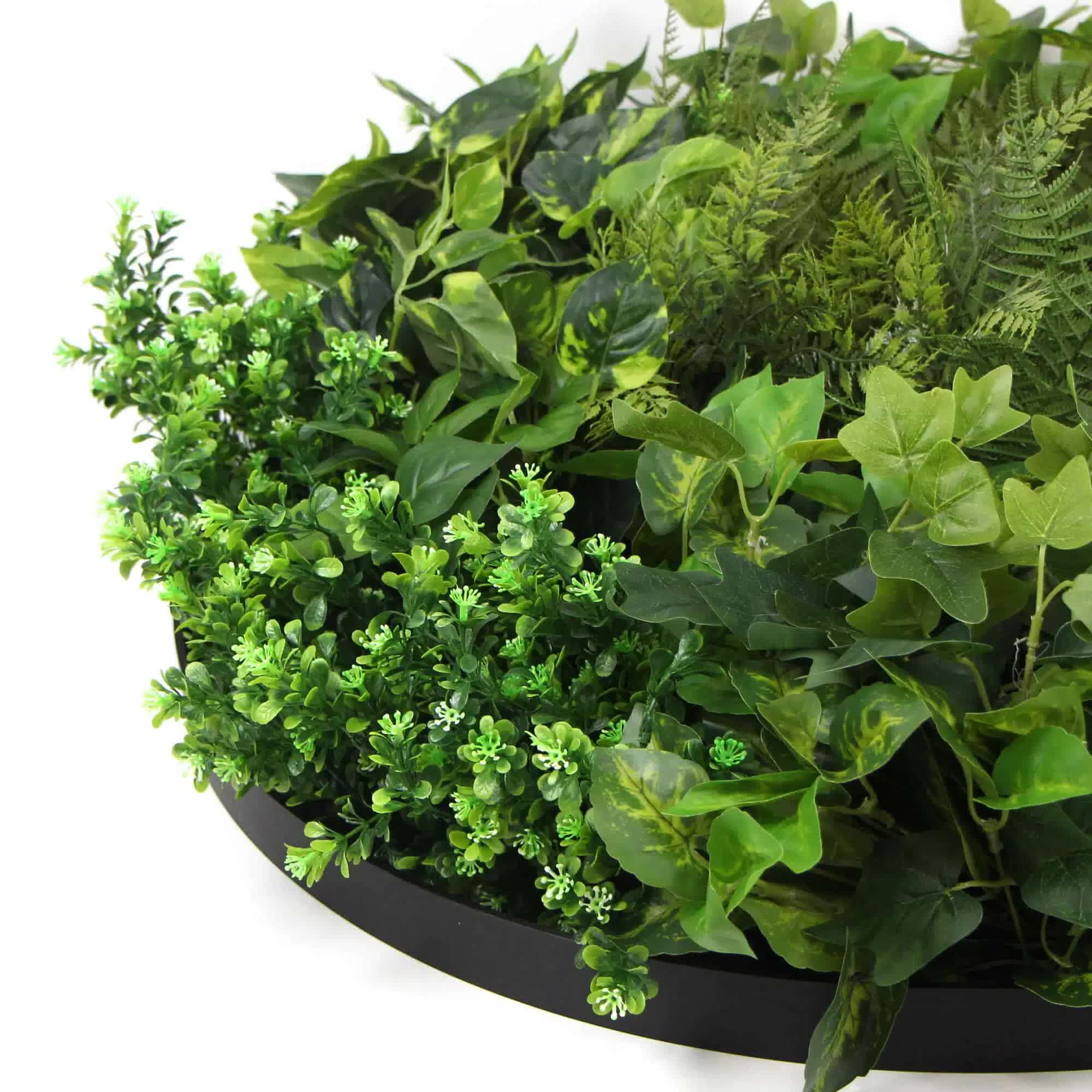 Slimline 80cm Artificial Green Wall Disc with Mixed Fern & Ivy - Black