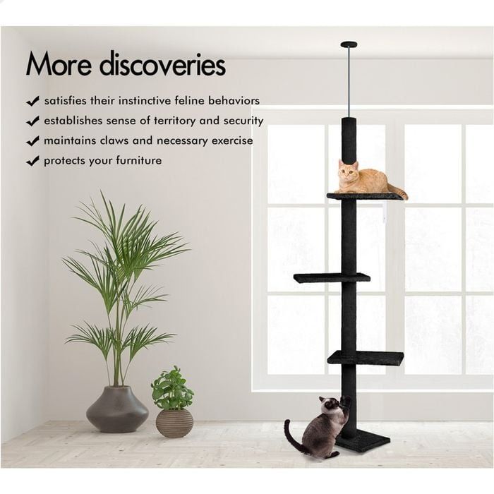 Adjustable Floor to Ceiling Cat Tree Tower 230 - 286cm for Indoor Cats - Black - Home & Garden > DIY > Flooring - Rivercity House & Home Co. (ABN 18 642 972 209) - Affordable Modern Furniture Australia