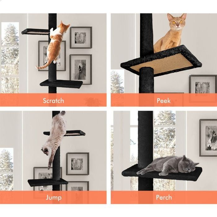 Adjustable Floor to Ceiling Cat Tree Tower 230 - 286cm for Indoor Cats - Black - Home & Garden > DIY > Flooring - Rivercity House & Home Co. (ABN 18 642 972 209) - Affordable Modern Furniture Australia
