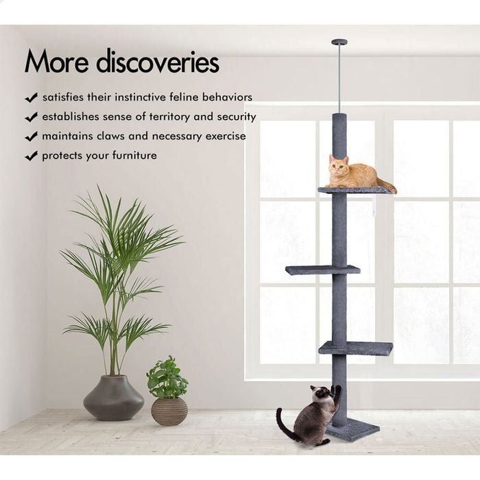 Adjustable Floor to Ceiling Cat Tree Tower 230 - 286cm for Indoor Cats - Grey - Home & Garden > DIY > Flooring - Rivercity House & Home Co. (ABN 18 642 972 209) - Affordable Modern Furniture Australia