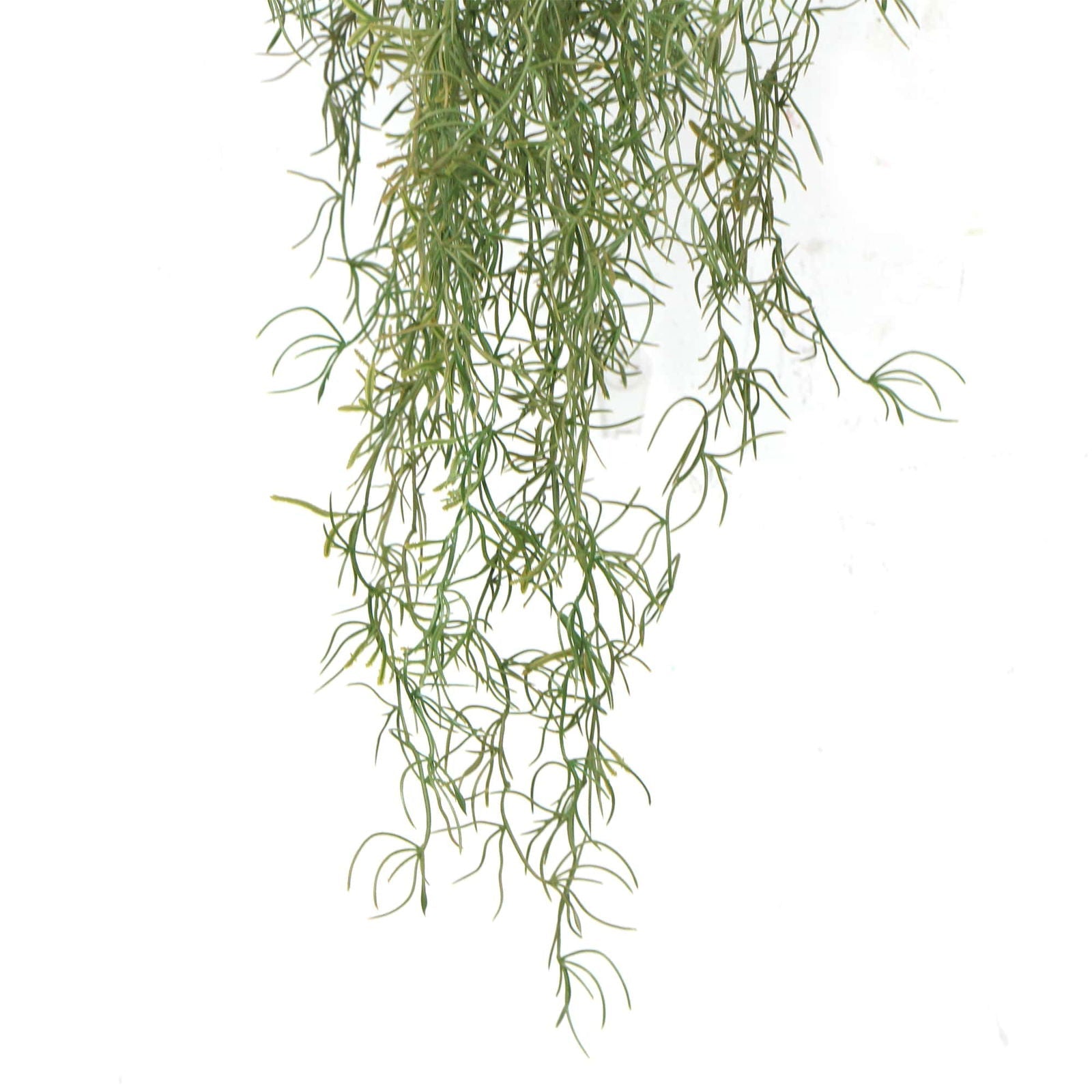 Artificial Air Plant Spanish Moss 100cm UV Resistant - Green Silver - Home & Garden > Artificial Plants > Artificial Trees - Rivercity House & Home Co. (ABN 18 642 972 209) - Affordable Modern Furniture Australia