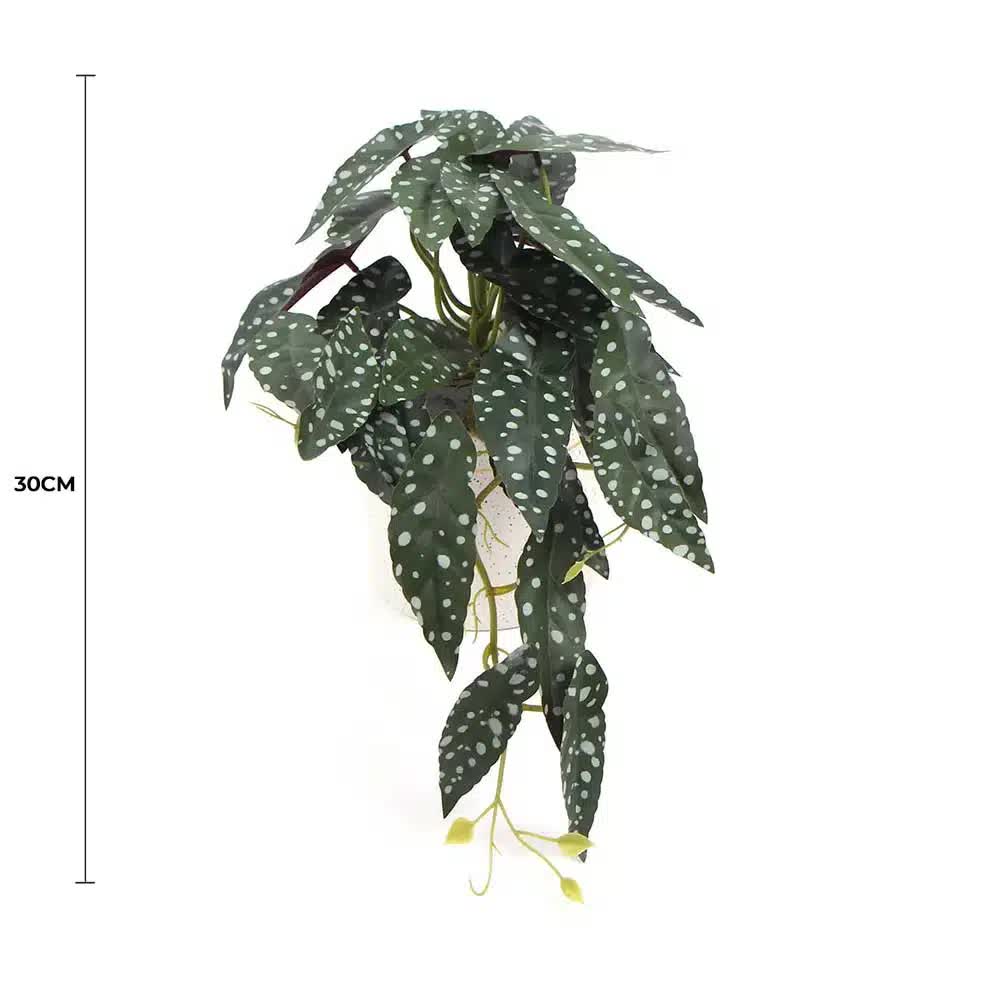 Artificial Begonia Maculata Plant in Decorative Bowl 30cm - Green - Home & Garden > Artificial Plants > Artificial Potted Plants - Rivercity House & Home Co. (ABN 18 642 972 209) - Affordable Modern Furniture Australia