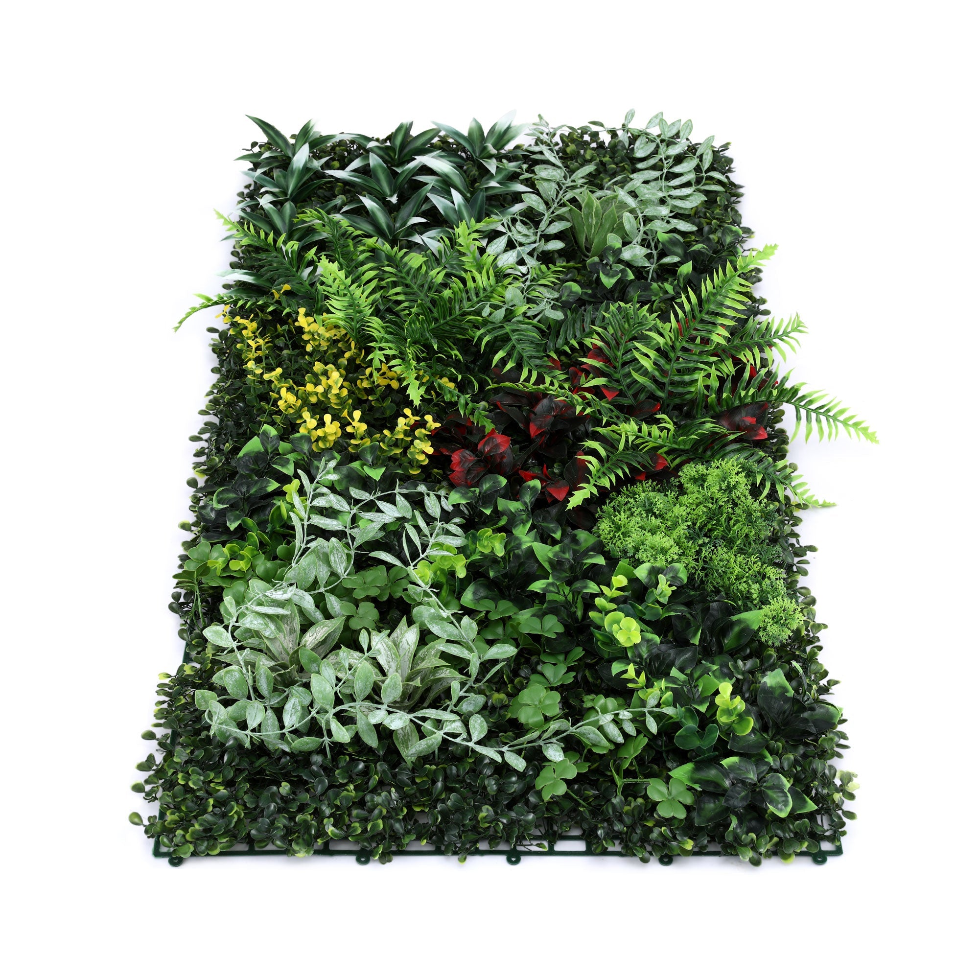 Artificial Boxwood Wall Panel 50x100cm Hedge Grass Backdrop - Green - Home & Garden > Artificial Plants > Artificial Wall Plants - Rivercity House & Home Co. (ABN 18 642 972 209) - Affordable Modern Furniture Australia