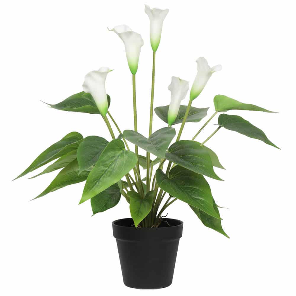 Artificial Flowering Peace Lily Plant 50cm - White - Health & Beauty > Health & Wellbeing > Wellness Accessories - Rivercity House & Home Co. (ABN 18 642 972 209) - Affordable Modern Furniture Australia