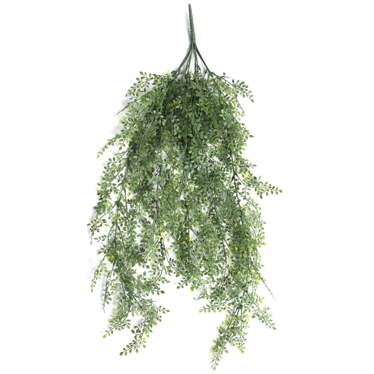 Artificial Hanging Maiden Hair Fern Plant 90cm UV Resistant - Natural Green - Home & Garden > Artificial Plants > Artificial Flowers & Plants - Rivercity House & Home Co. (ABN 18 642 972 209) - Affordable Modern Furniture Australia