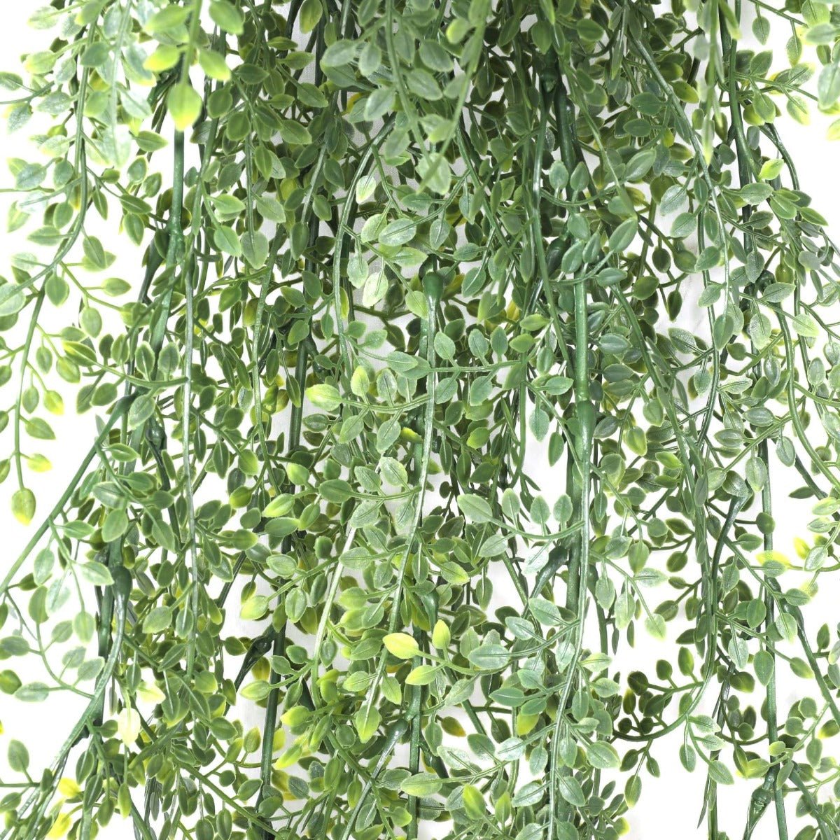 Artificial Hanging Maiden Hair Fern Plant 90cm UV Resistant - Natural Green - Home & Garden > Artificial Plants > Artificial Flowers & Plants - Rivercity House & Home Co. (ABN 18 642 972 209) - Affordable Modern Furniture Australia