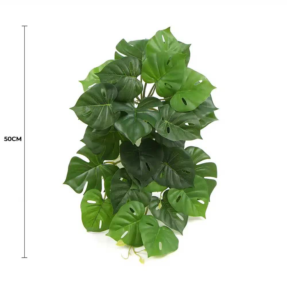 Artificial Monstera Adansonii Plant 50cm - Green - Home & Garden > Artificial Plants > Artificial Trees - Rivercity House & Home Co. (ABN 18 642 972 209) - Affordable Modern Furniture Australia