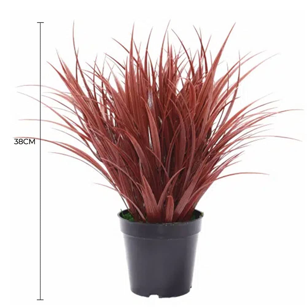 Artificial Ornamental Potted Dense Grass 38cm - Burgundy - Home & Garden > Artificial Plants > Artificial Trees - Rivercity House & Home Co. (ABN 18 642 972 209) - Affordable Modern Furniture Australia