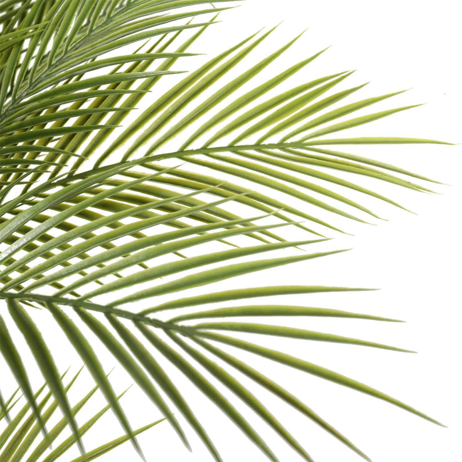 Artificial Parlour Palm Tree 180cm Multi Trunk UV Resistant - Home & Garden > Artificial Plants > Artificial Trees - Rivercity House & Home Co. (ABN 18 642 972 209) - Affordable Modern Furniture Australia