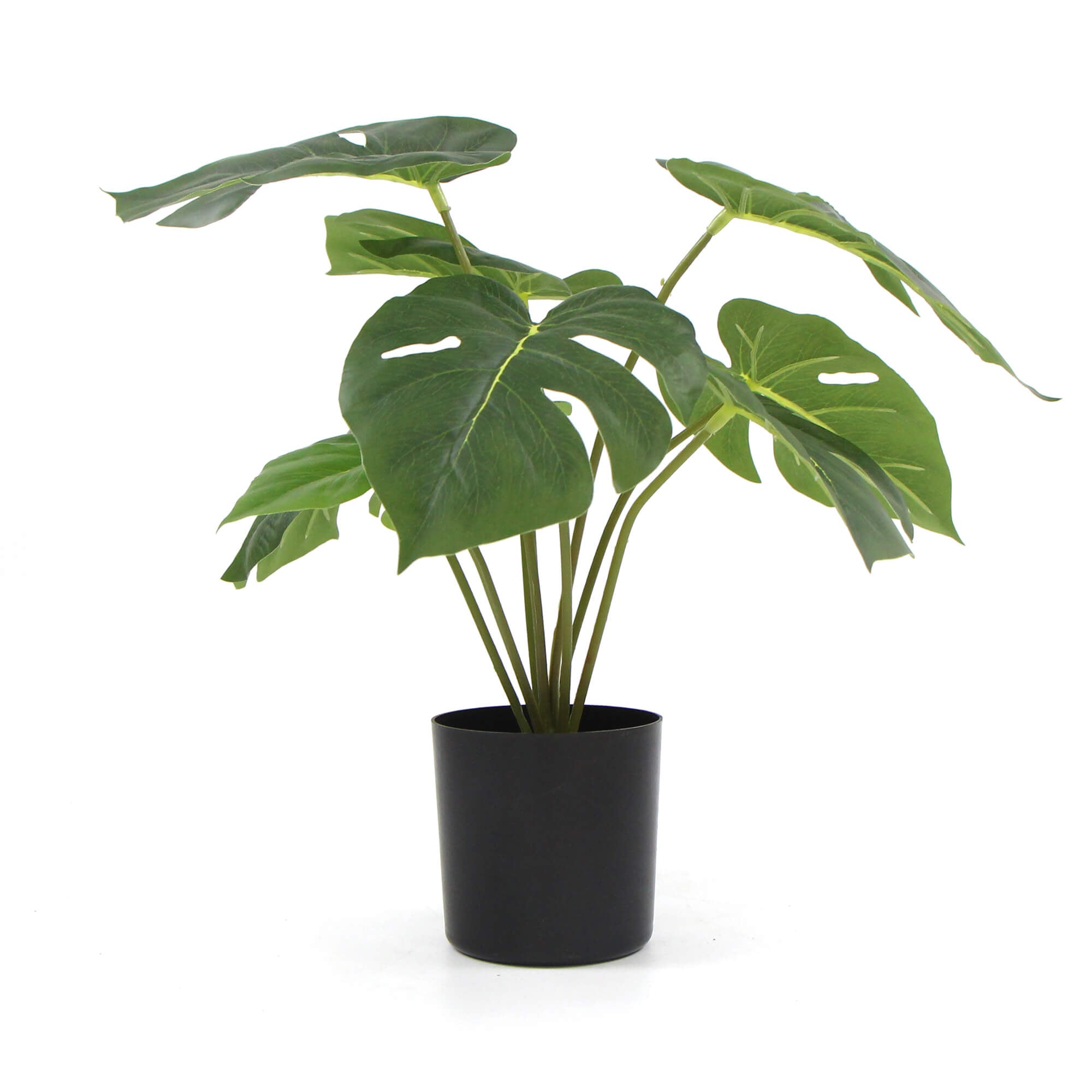 Artificial Potted Split Philodendron Plant 35cm with Real Touch Leaves - Green - Home & Garden > Artificial Plants > Artificial Flowers & Plants - Rivercity House & Home Co. (ABN 18 642 972 209) - Affordable Modern Furniture Australia
