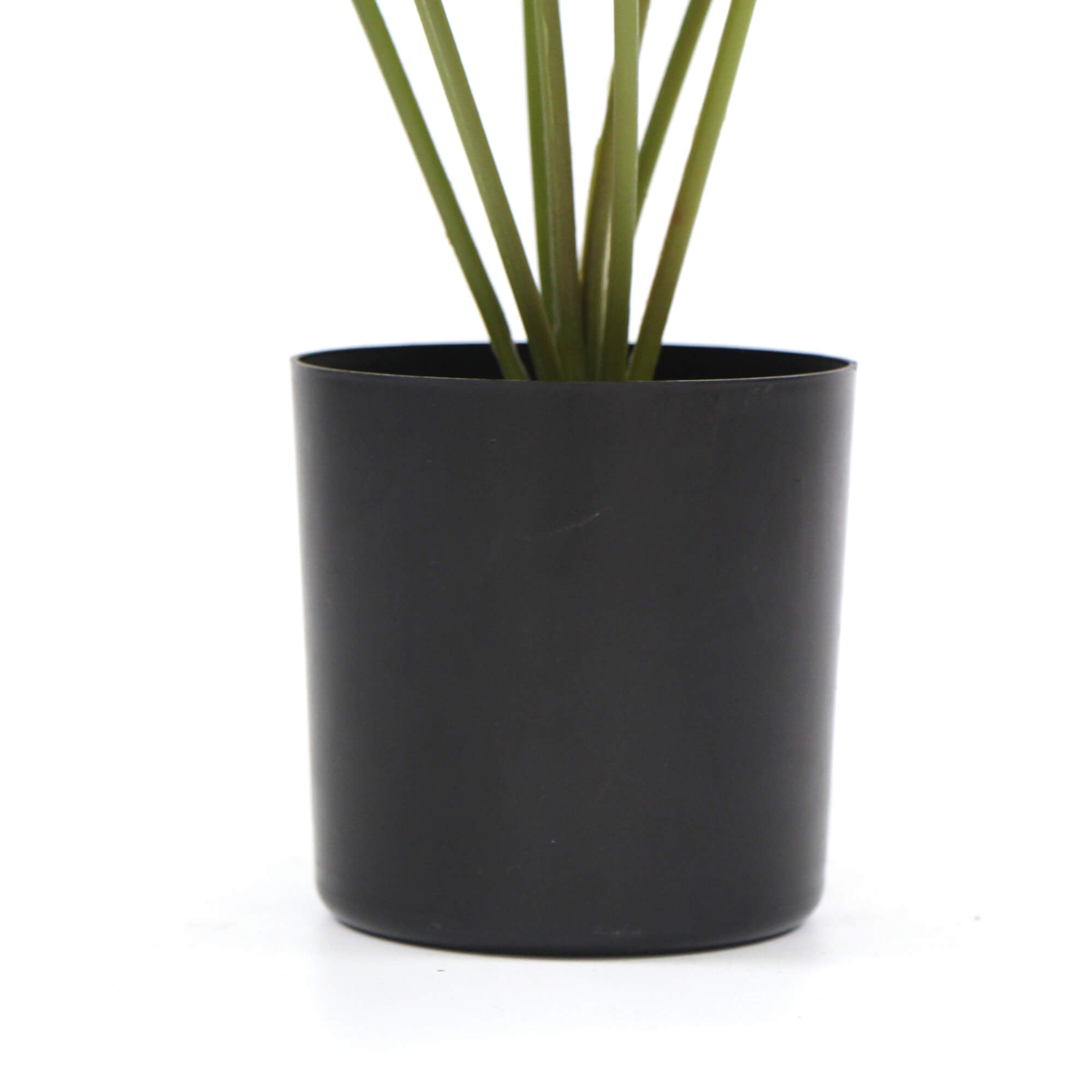 Artificial Potted Split Philodendron Plant 35cm with Real Touch Leaves - Green - Home & Garden > Artificial Plants > Artificial Flowers & Plants - Rivercity House & Home Co. (ABN 18 642 972 209) - Affordable Modern Furniture Australia
