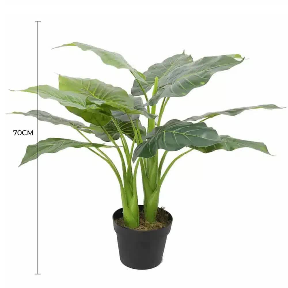 Artificial Potted Taro Plant 70cm Elephant Ear - Green - Home & Garden > Artificial Plants > Artificial Trees - Rivercity House & Home Co. (ABN 18 642 972 209) - Affordable Modern Furniture Australia