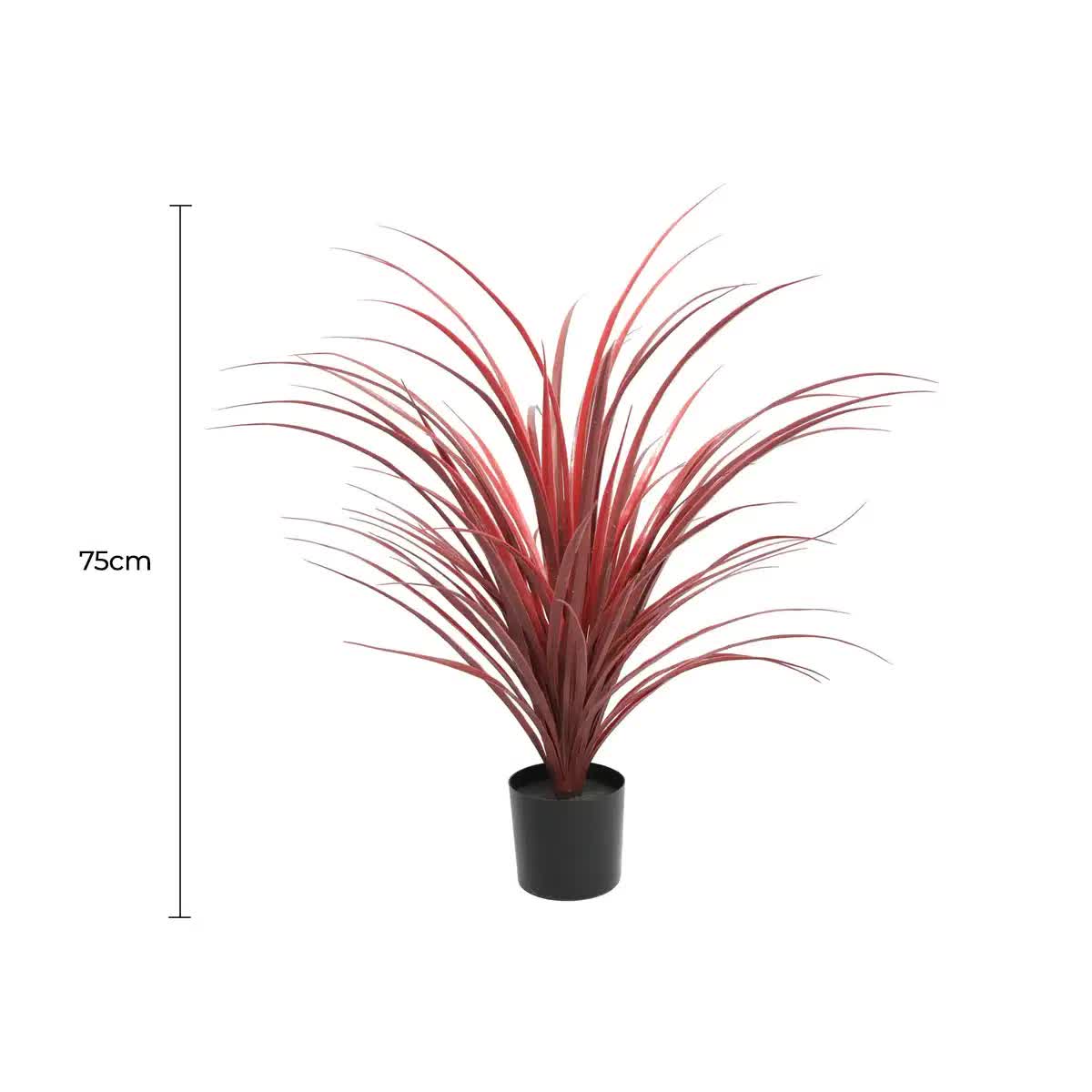 Artificial Potted Yucca Long Grass 75cm - Burgundy - Home & Garden > Artificial Plants > Artificial Trees - Rivercity House & Home Co. (ABN 18 642 972 209) - Affordable Modern Furniture Australia