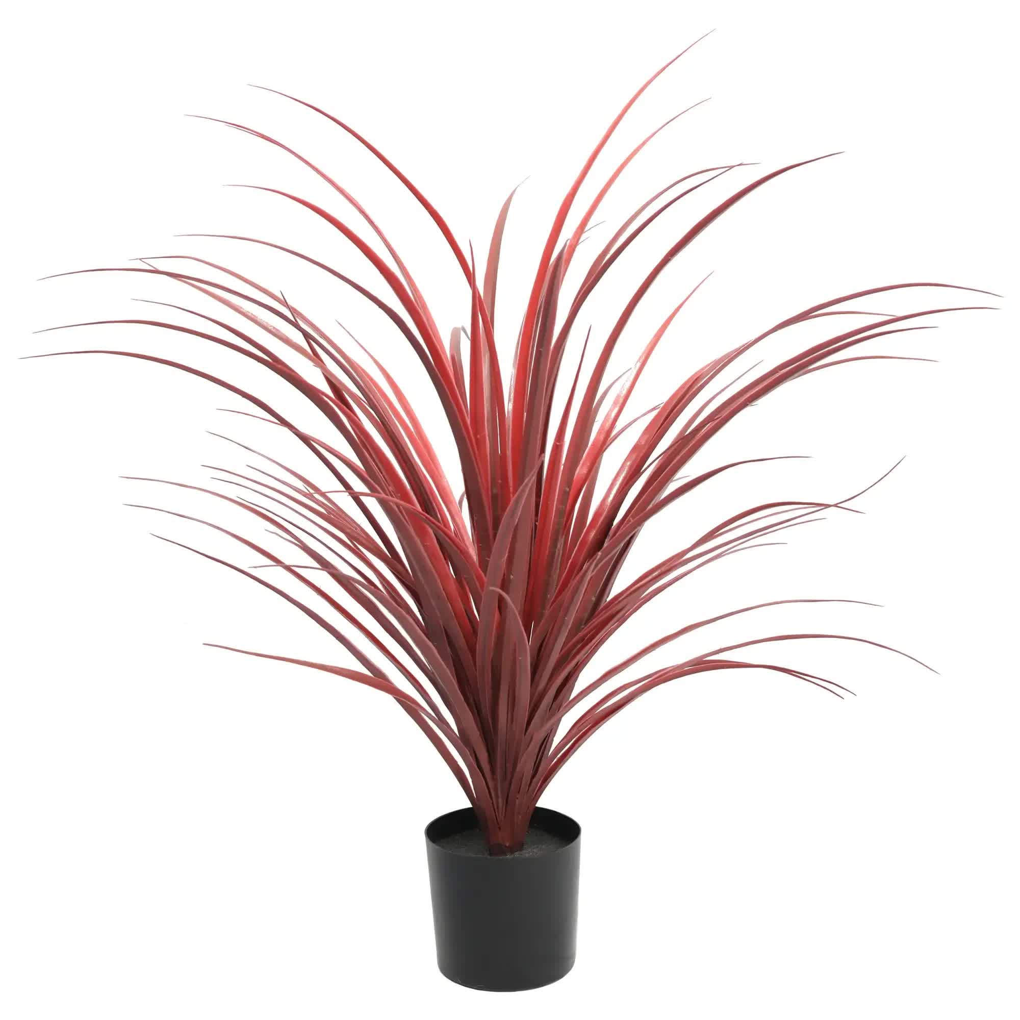 Artificial Potted Yucca Long Grass 75cm - Burgundy - Home & Garden > Artificial Plants > Artificial Trees - Rivercity House & Home Co. (ABN 18 642 972 209) - Affordable Modern Furniture Australia