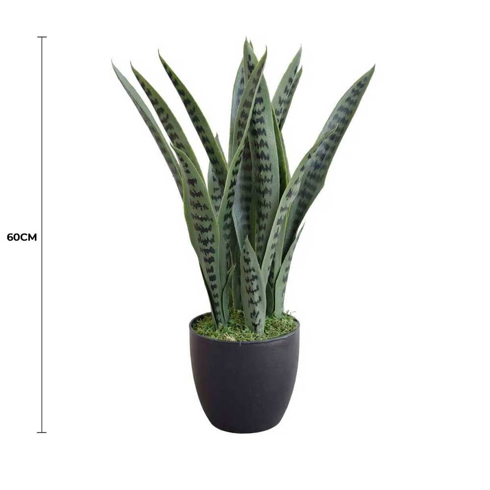 Artificial Snake Plant Sansevieria 60cm UV Resistant - Mixed Green with Black Markings - Home & Garden > Artificial Plants > Artificial Trees - Rivercity House & Home Co. (ABN 18 642 972 209) - Affordable Modern Furniture Australia