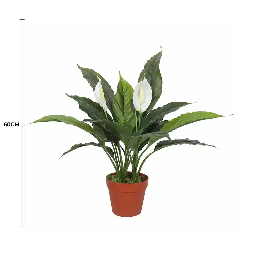 Artificial Spathiphyllum Peace Lily Plant 60cm with White Flowers - Green & White - Health & Beauty > Health & Wellbeing > Wellness Accessories - Rivercity House & Home Co. (ABN 18 642 972 209) - Affordable Modern Furniture Australia