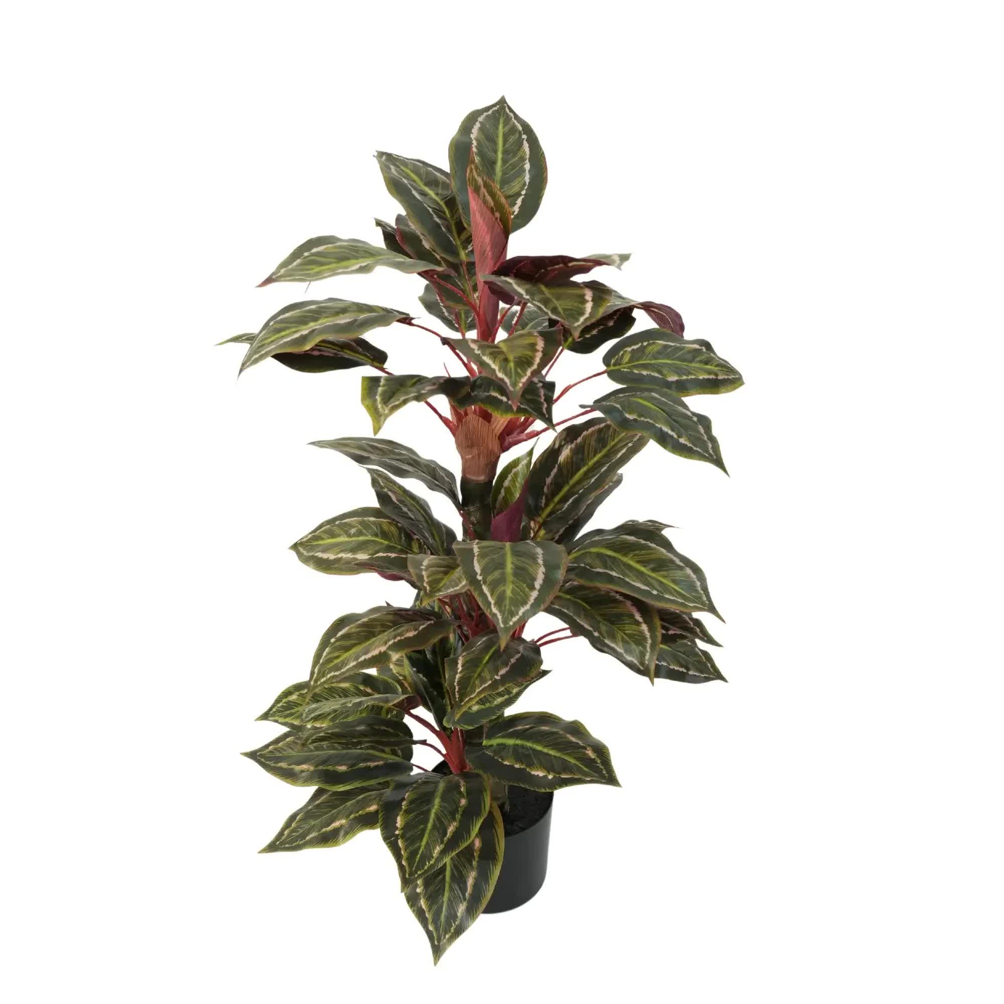 Artificial Wide Leaf Cordyline Plant 90cm - Green - Home & Garden > Artificial Plants > Artificial Hanging Plants - Rivercity House & Home Co. (ABN 18 642 972 209) - Affordable Modern Furniture Australia