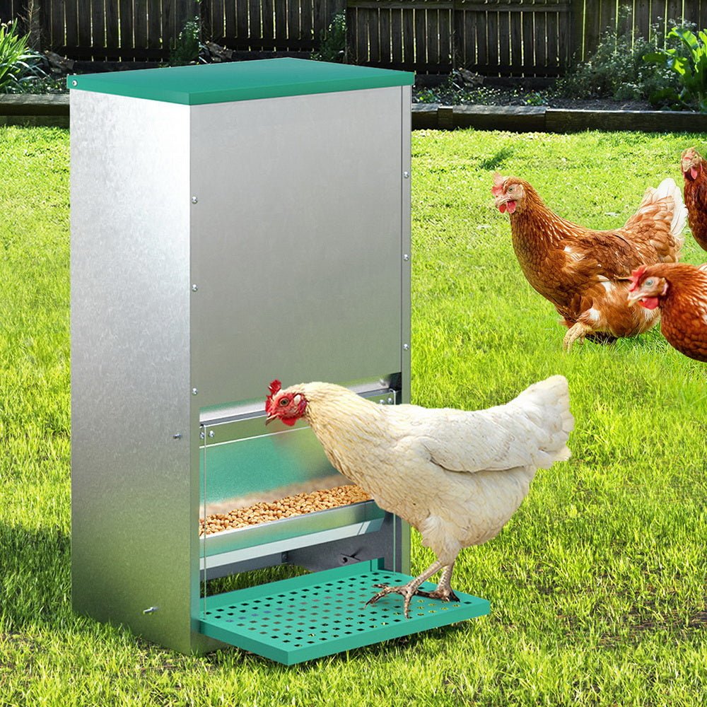 Automatic Chicken Feeder Port Coop Chick Poultry Treadle Self Opening - Pet Care > Coops & Hutches - Rivercity House & Home Co. (ABN 18 642 972 209) - Affordable Modern Furniture Australia