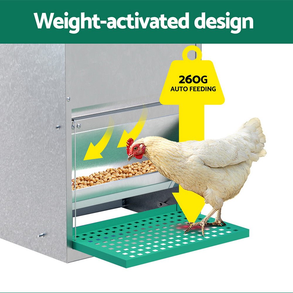 Automatic Chicken Feeder Port Coop Chick Poultry Treadle Self Opening - Pet Care > Coops & Hutches - Rivercity House & Home Co. (ABN 18 642 972 209) - Affordable Modern Furniture Australia