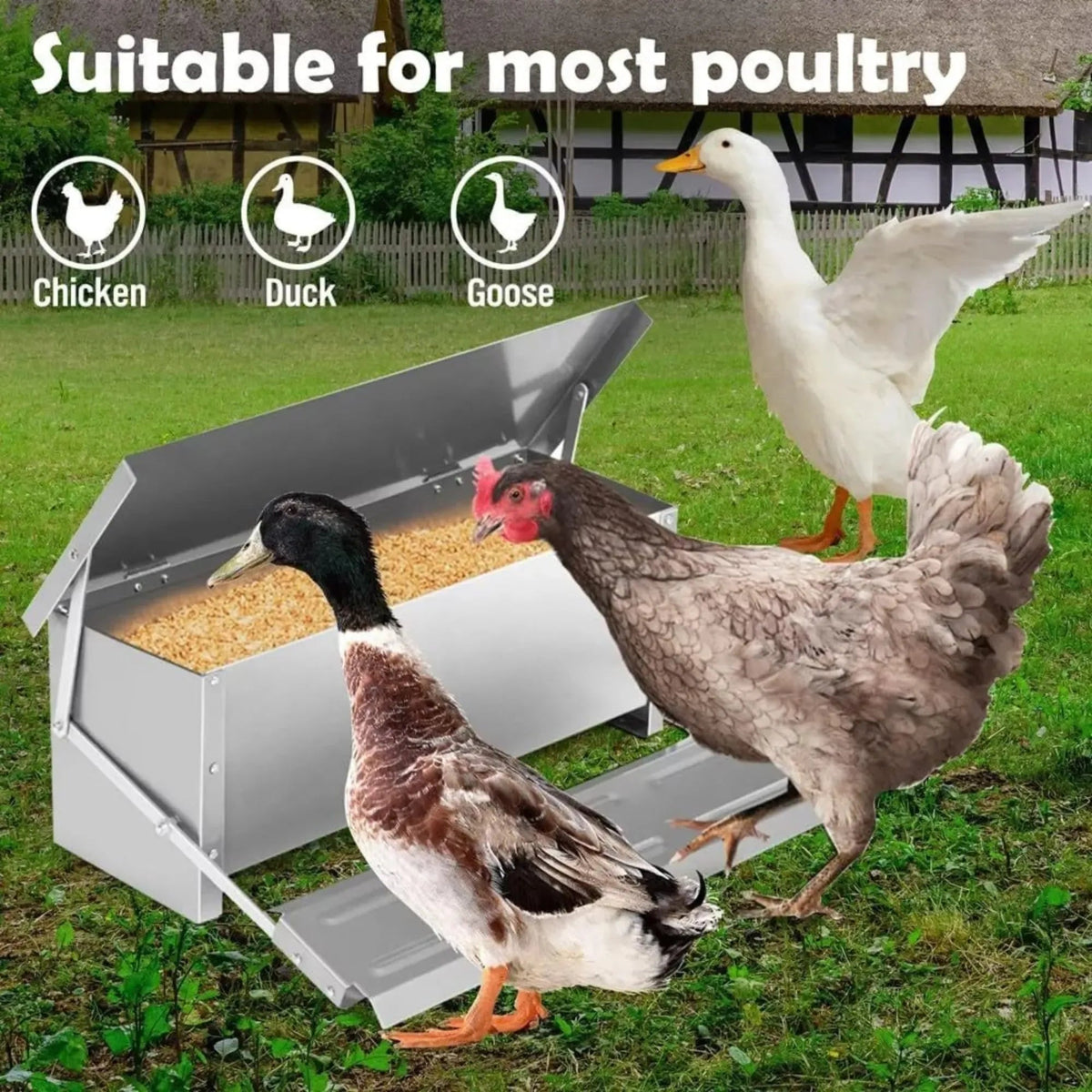 Automatic Chicken Feeder Treadle Galvanized Steel - Grey - Pet Care > Farm Supplies > Farm Equipment - Rivercity House & Home Co. (ABN 18 642 972 209) - Affordable Modern Furniture Australia