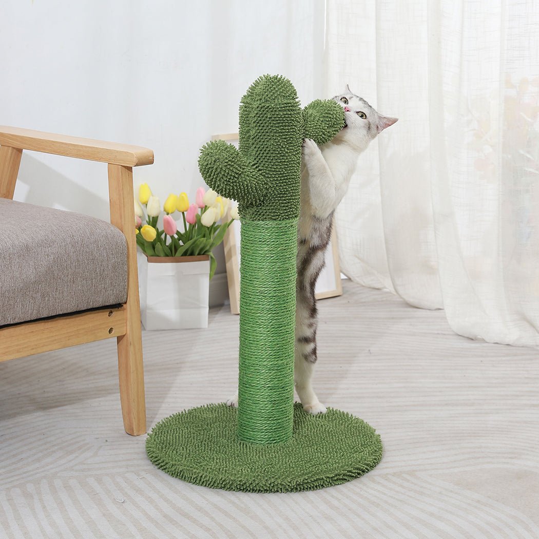 Cactus Cat Scratching Post Tree with Sisal Rope - Green - Rivercity House & Home Co. (ABN 18 642 972 209) - Affordable Modern Furniture Australia