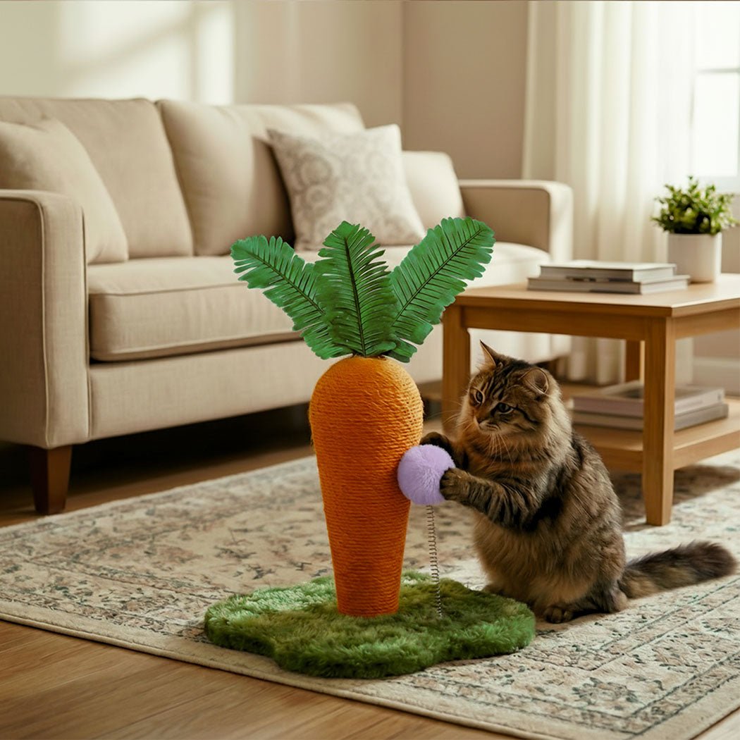 Carrot Cat Scratching Post with Plush Ball Toy - Orange Green - Rivercity House & Home Co. (ABN 18 642 972 209) - Affordable Modern Furniture Australia